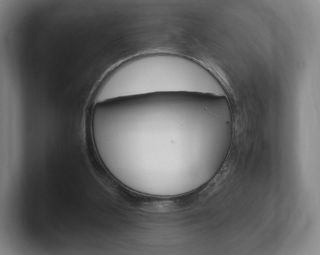 X0000102260108200807250846
