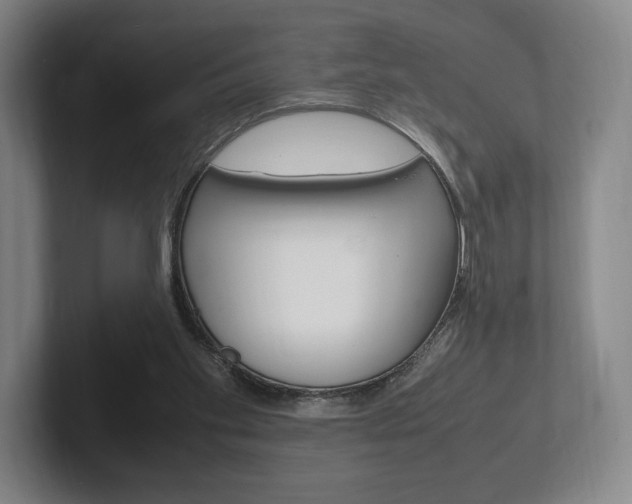 X0000102260109200807250846