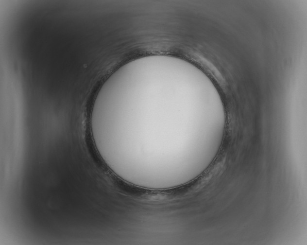 X0000102260113200807250845