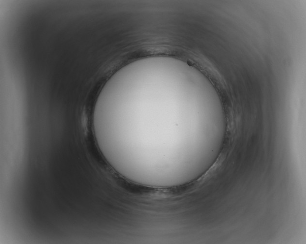 X0000102260124200807250845