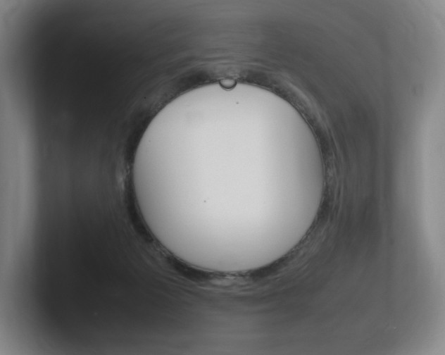 X0000102260125200807250845