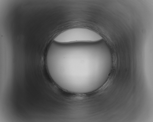 X0000102260128200807250845