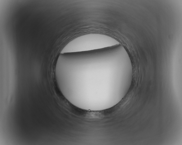 X0000102260137200807250845