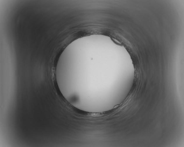 X0000102260141200807250845