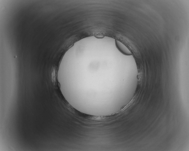 X0000102260142200807250845