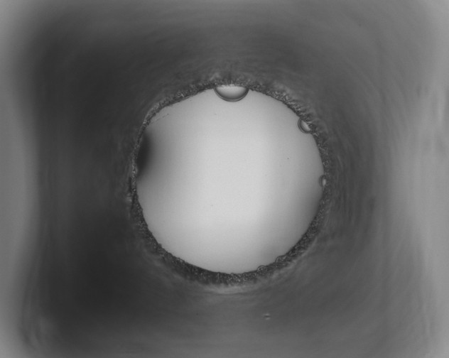X0000102260144200807250845