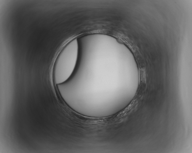 X0000102260147200807250844