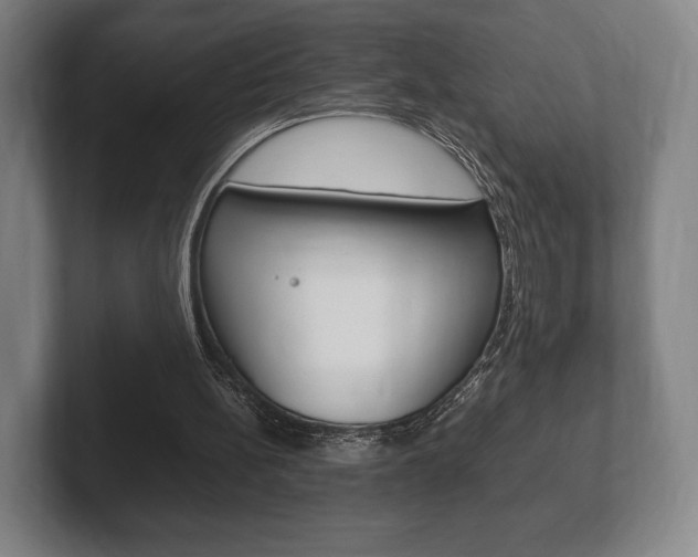 X0000102260148200807250845