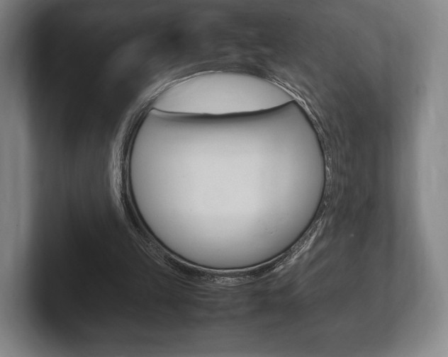 X0000102260149200807250845