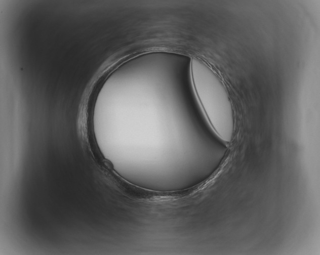 X0000102260150200807250845