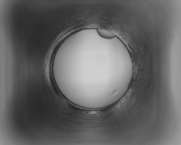 X0000102260151200807250845