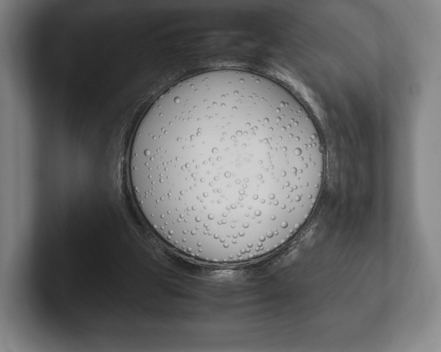 X0000102260153200807250845