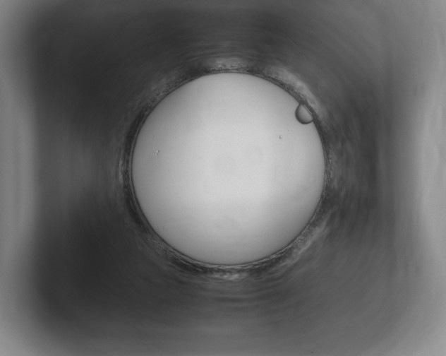 X0000102260161200807250845