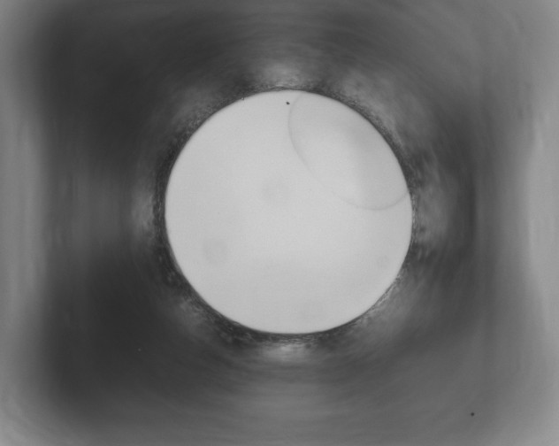 X0000102260162200807250845