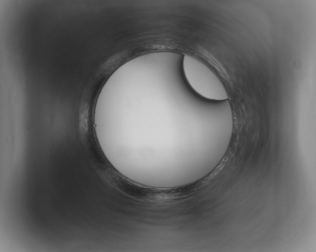 X0000102260163200807250845