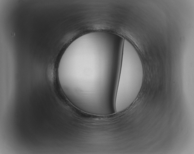 X0000102260164200807250845