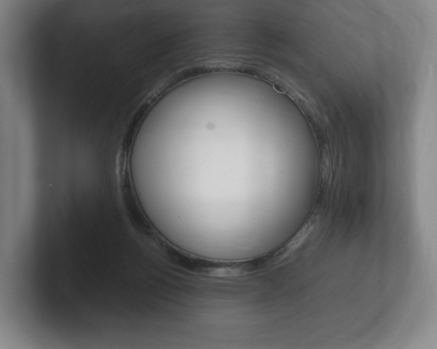 X0000102260168200807250845