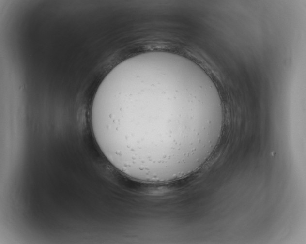 X0000102260169200807250845