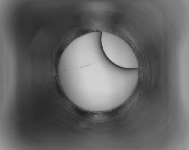 X0000102260173200807250845