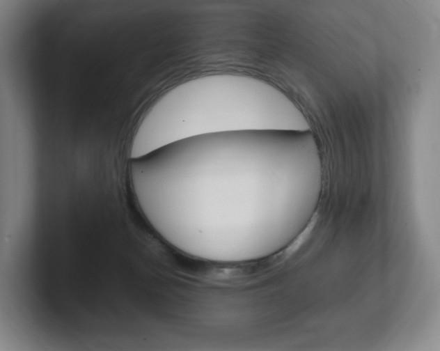 X0000102260174200807250845