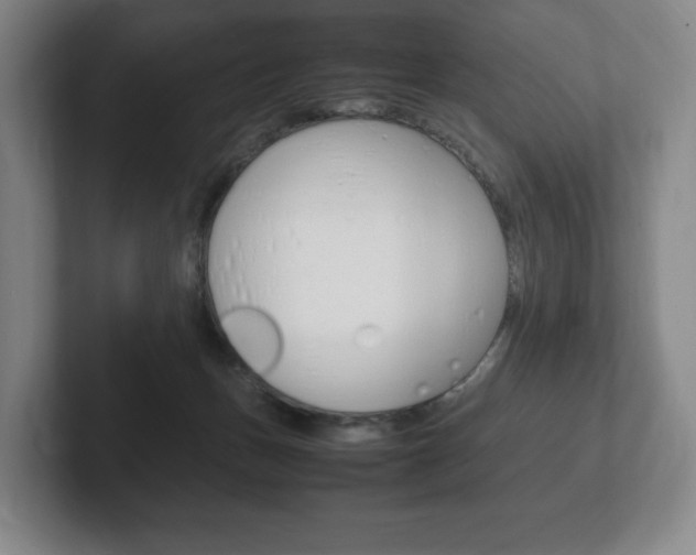 X0000102260175200807250845