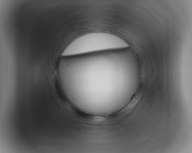 X0000102260176200807250845