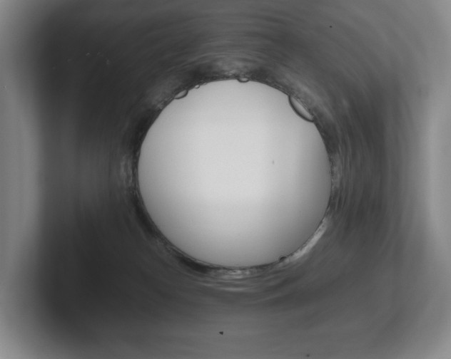 X0000102260182200807250845