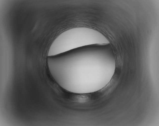 X0000102260183200807250845
