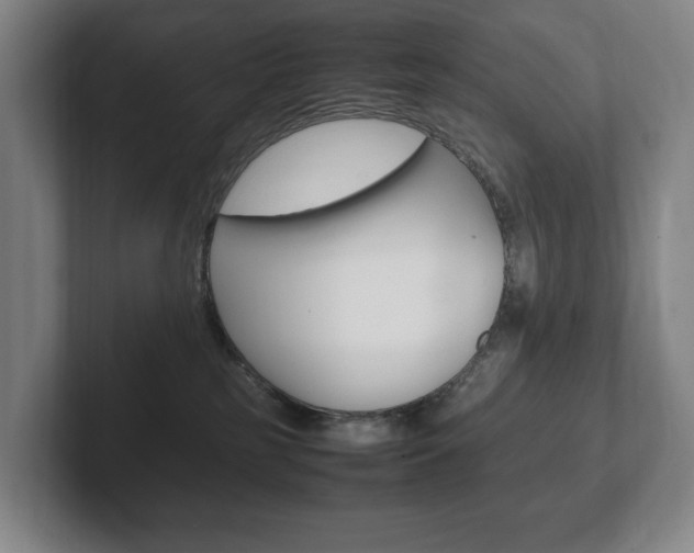X0000102260185200807250845