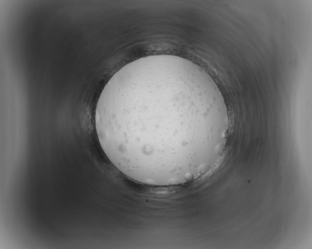 X0000102260187200807250845