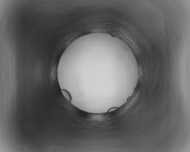 X0000102260189200807250845