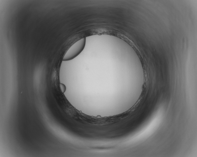 X0000102260191200807250845