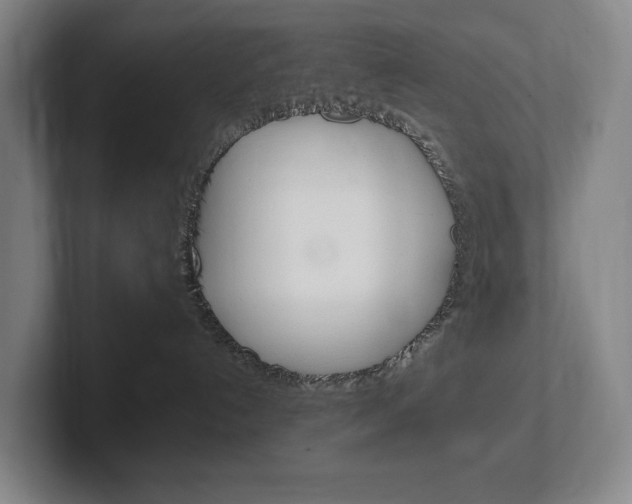 X0000102260192200807250845