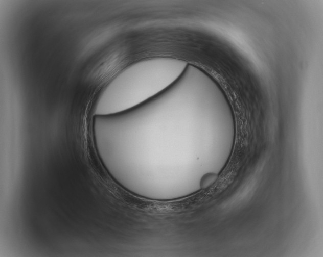 X0000102260194200807250844