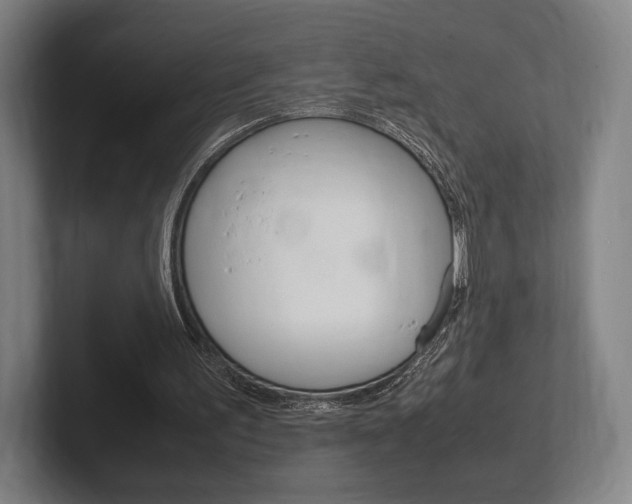 X0000102260195200807250844