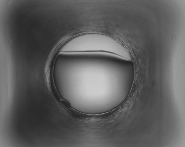 X0000102260197200807250844