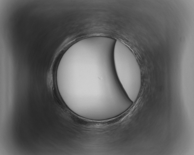 X0000102260198200807250844