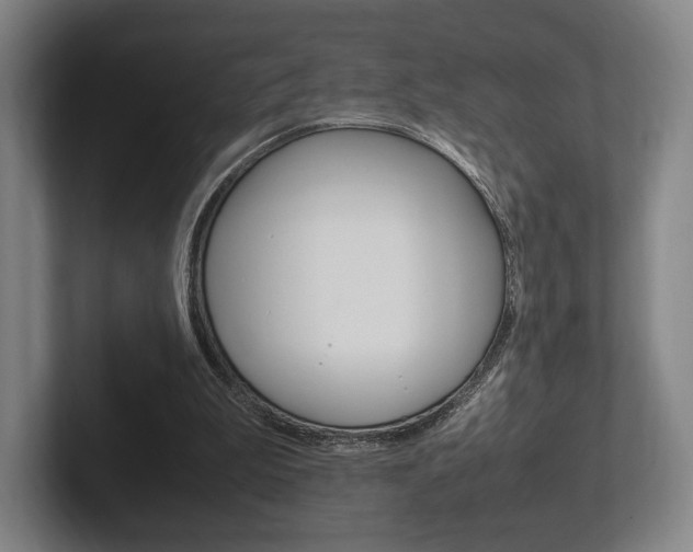 X0000102260199200807250844