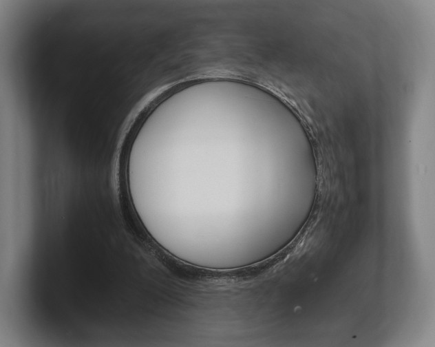 X0000102260200200807250844