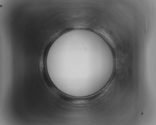 X0000102260202200807250844