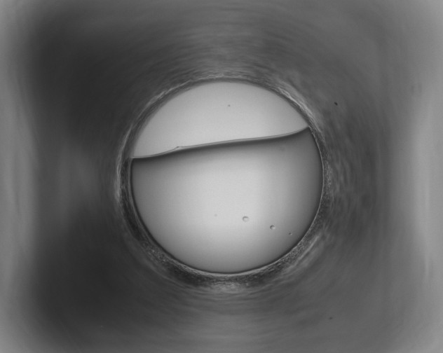 X0000102260203200807250844