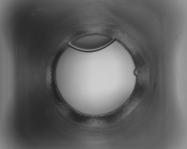 X0000102260207200807250844