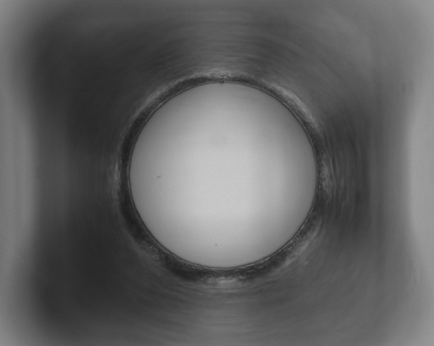X0000102260208200807250844