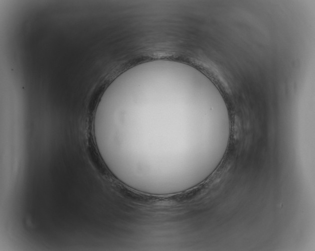 X0000102260210200807250844