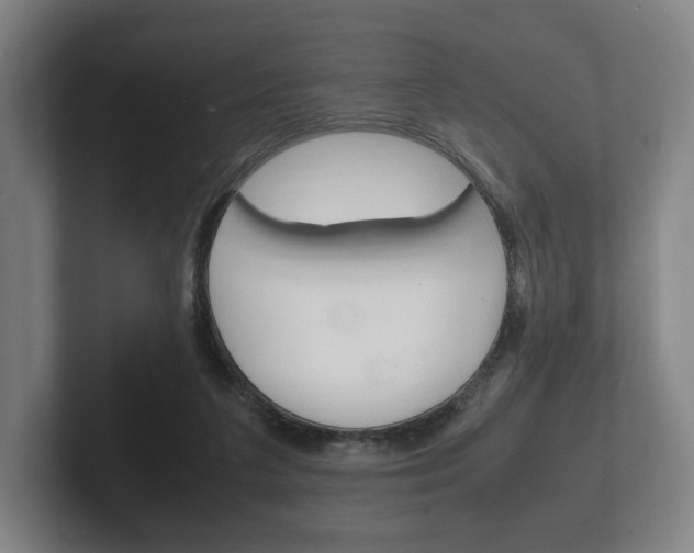 X0000102260211200807250844