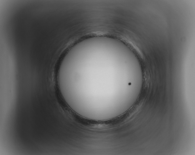 X0000102260212200807250844