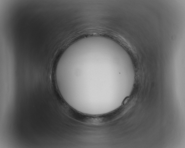 X0000102260217200807250844
