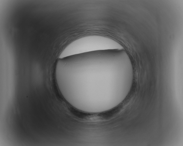 X0000102260219200807250844