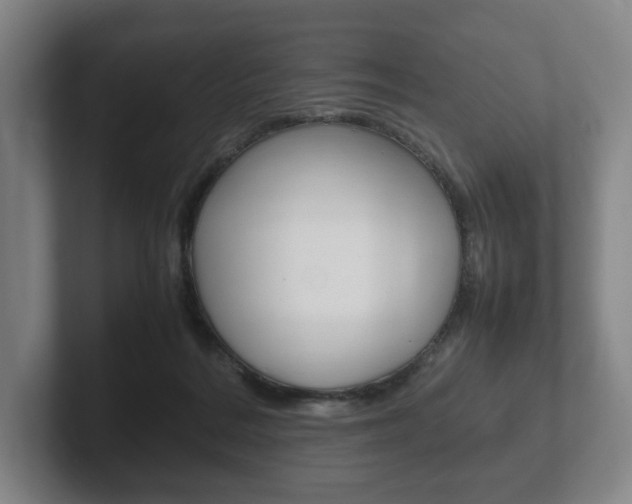 X0000102260220200807250844