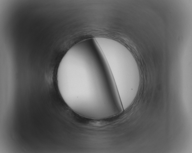 X0000102260221200807250844